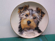 Cherished Yorkies EYES of LOVE Danbury Mint Yorkshire Terrier Collector Plate