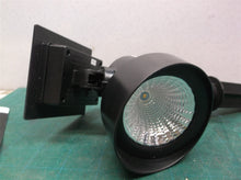 lawn Solar Spotlight, Black