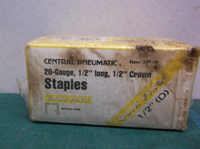 Central Pneumatic Contractor Series 5000 Piece 1/2" x 1/2" Crown 20 Ga Staples