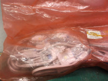 pl-f52-sw5-n 25' set of led lights