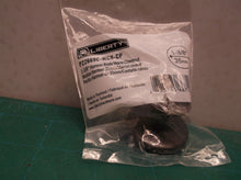 * P22669-WCN-CP 1 3/8" Warm Chestnut Harmon Cabinet Drawer Knob