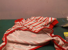 Large Dog Santa Onesie