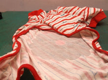 Large Dog Santa Onesie
