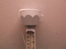 Pool Thermometer