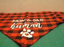mom and dad are getting me a human bandana for dogs red/blue