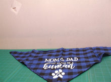 mom and dad are getting me a human bandana for dogs red/blue