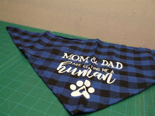 mom and dad are getting me a human bandana for dogs red/blue