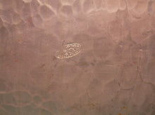Silver plate ? 14" x 9.5 tray