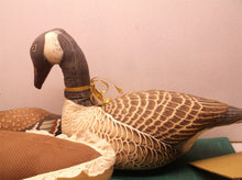 lot of 3 stuffed ducks