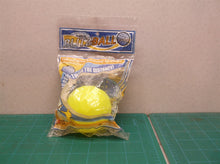 Blitzball "The Ultimate Backyard Baseball" Curve Training Plastic Ball