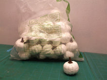 54 white pumpkins for crafting
