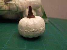 54 white pumpkins for crafting