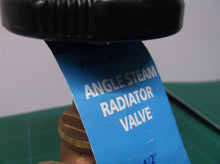 Everflow 48712 1/2" FIP X Male Union Steam Angle Radiator Valve