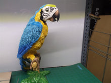 Hasbro FurReal Friends Squawkers McCaw Talking Parrot Bird W/ Stand No Remote