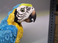 Hasbro FurReal Friends Squawkers McCaw Talking Parrot Bird W/ Stand No Remote