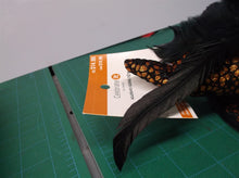 Celebrate It Halloween Headband Witches Hat Feather Rose Black Orange