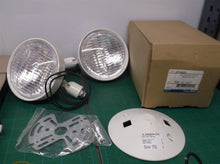 Thomas & Betts EF18D-ZD 6 Volt 9w Double Remote Fixture