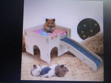 MewToGo Guinea Pig Castle with Ramp