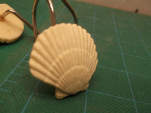 12 shell shower curtin hooks