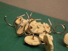 12 shell shower curtin hooks