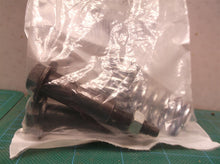 Walker Exhaust 35129 Exhaust Bolt and Spring