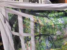 90.5 x 70.8 outdoor scene backdrop