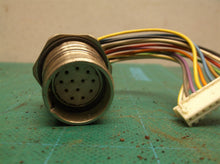 MCV, M23 Receptacle, 12 Pole, Female Straight to 12 Pin straight