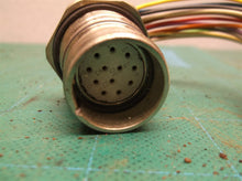 MCV, M23 Receptacle, 12 Pole, Female Straight to 12 Pin straight