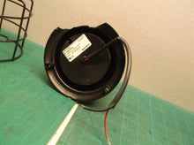 Jungheinrich J Fuhr 12-104VDC Amber Strobe Light Safety Light with Surrounding C