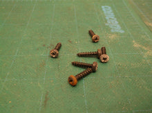 Pack of 6 SCREW SELF-TAPPING TTI039065005043 for Ryobi P411 Random Orbit Sander