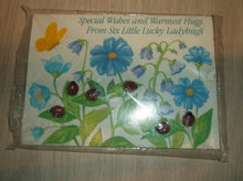 Avon 6 Pc Little Ladybugs Button Set