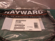 SPX3200S Strainer Cover O-Ring and Misc other Hayward O-rings