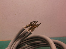 electricord dryer cord 3 prong