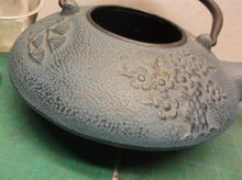 Cast Iron Green Tea Pot Infuser Basket blue