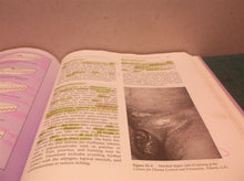 Basic Maternal / Pediatric Nursing by Shapiro, Pamela