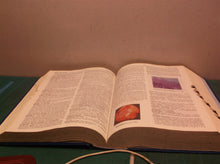 Mosby's Medical, Nursing & Allied Health Dictionary, Fourth Edition