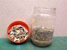 Jar of sharks teeth