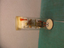 Vintage Scottish Piper Souvenir Doll Majorette By Clyde Gifts