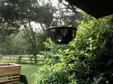 PL1005BLDRM Hanging Basket Set , Black
