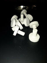1" Coral Frag Plug 10 Pack Neptune's Garden Plugs Plates and Fixtures