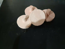 2" Coral Red Frag Plug 4 Pack Neptune's Garden Plugs Plates and Fixtures