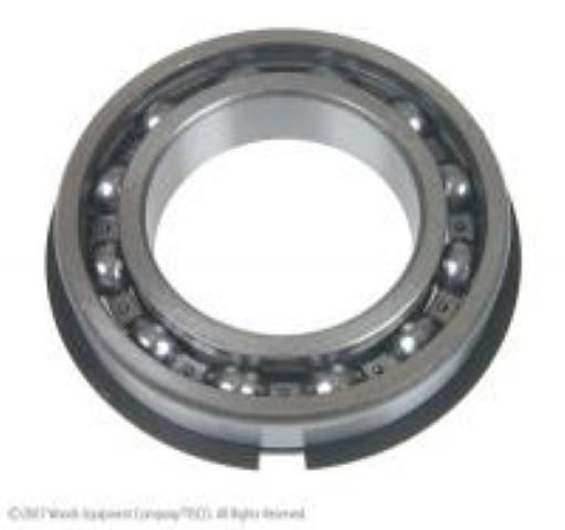 195498M1 BEARING