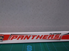 Inglasco Florida Panthers Plastic Mini Hockey Stick