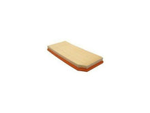 9843 NAPA Gold Air Filter