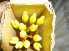 12 target arrows