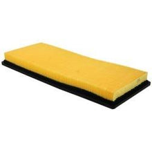 230004 NAPA Enviroshield Air Filter