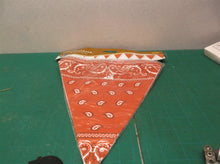 WESTERN Cowboy Farm Party Decoration RED BANDANA Print Pennant FLAG BANNER 12ft