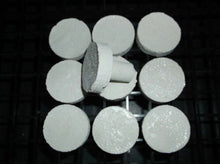 1" Coral Frag Plug RED 10 Pack Neptune's Garden Plugs Plates and Fixtures
