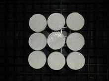 1" Coral Frag Plug RED 10 Pack Neptune's Garden Plugs Plates and Fixtures