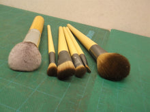Ecotools 5 Makeup Brushes, 1 BS mall Brush